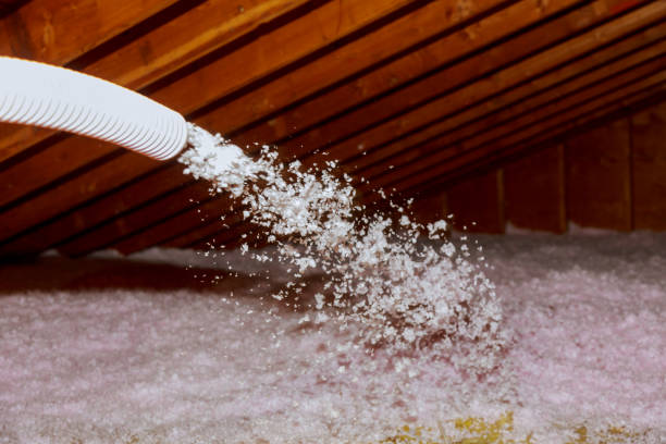 Best Insulation Installation Services in Cedar Hill, MO