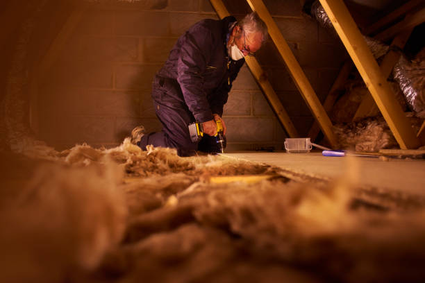 Best Residential Insulation in Cedar Hill, MO