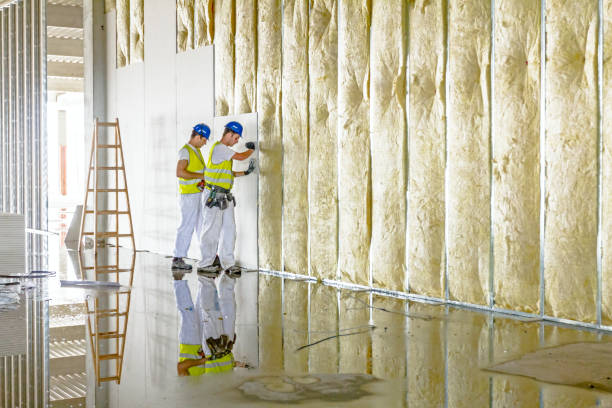 Best Commercial Insulation in Cedar Hill, MO